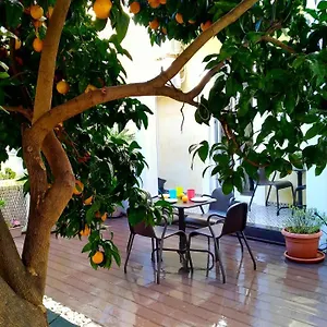 Sunny Orange Garden In , Lisbon Portugal